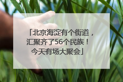 北京海淀有个街道，汇聚齐了56个民族！今天有场大聚会